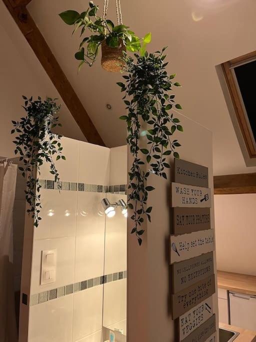 Magnifique Loft 2-3 Personnes Tout Confort بولون-سور-مير المظهر الخارجي الصورة